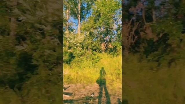 18-19 августа 2023 Рыбалка с ночёвкой с друзьями! Кижуч! Река Ола. Магаданская область. смотреть онлайн