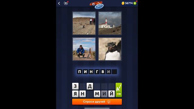 4 фотки 1 слово - Друзья животных - 09.02.2022 - Ответы Ежедневная Загадка - февраль 2022 смотреть онлайн