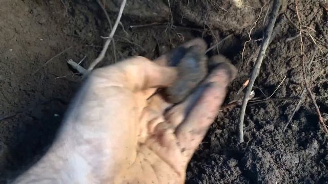 Digging Rainbow Herkimer Diamond Quartz Crystals | Paradise Falls New York смотреть онлайн