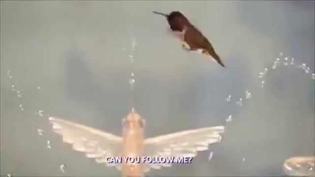 Sony Alpha 58 Video Shooting