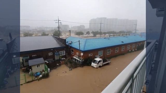 Тайфун «Хиннамнор» в Южной Корее. Штормовой нагон в Пхохане #hinnamnor смотреть онлайн