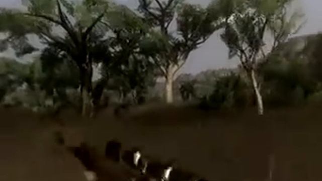FarCry2 Zebra Hunting on ATI 4550 смотреть онлайн