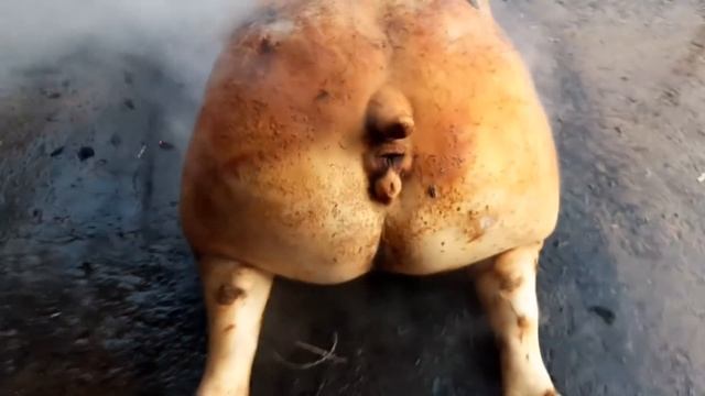 С,С.А//Поросенок с мешком ,Таранчук-Свежина это традиция //Сковорода//