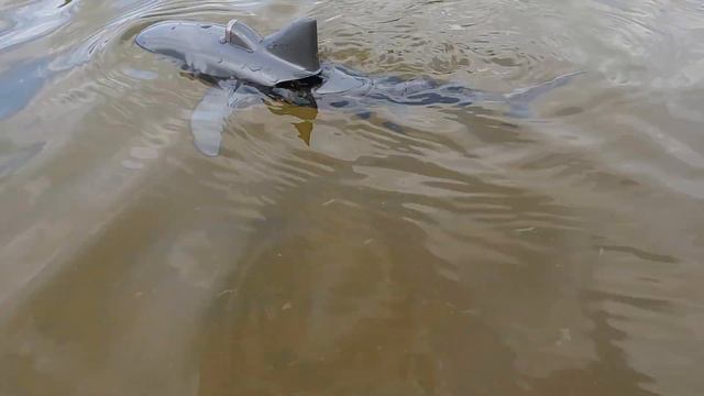 RC Shark remote control - RC shark unboxing in Hindi - Remote control shark unboxing -RC shark vide смотреть онлайн