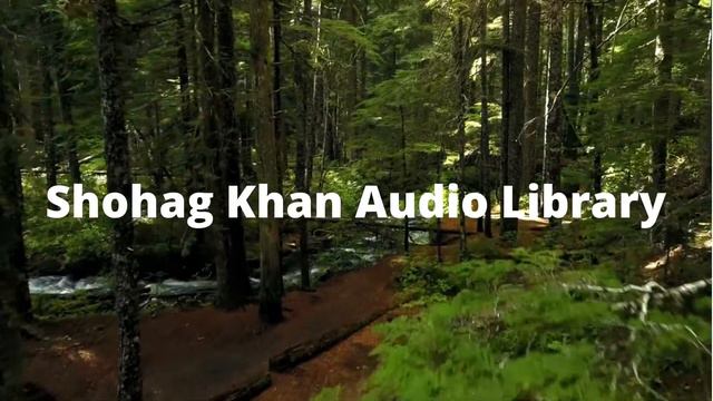 Nathan Moore / Gold in Them Hills / No Copyright Music / Country & Folk Background Music For Videos смотреть онлайн