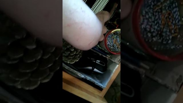 Мой мини-шкаф,что в нём находиться. смотреть онлайн