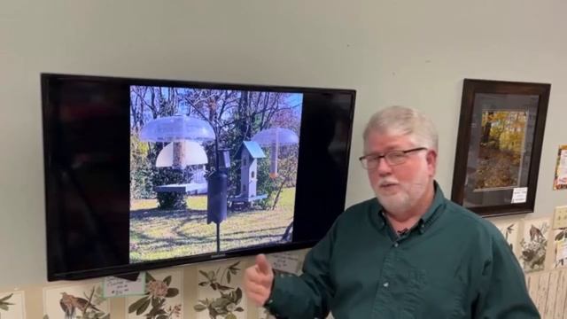Keys to Attracting More Birds to Your Feeder Station смотреть онлайн