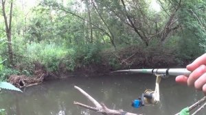 ЛОВЛЯ КРУПНОЙ ПЛОТВЫ НА ТИХОЙ ЗАРОСШЕЙ РЕКЕ!!!