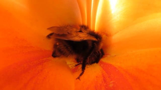 Ты мне нужна смотреть онлайн