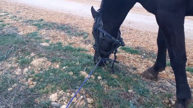 Набирать сегодня воду или нет? 18 января смотреть онлайн