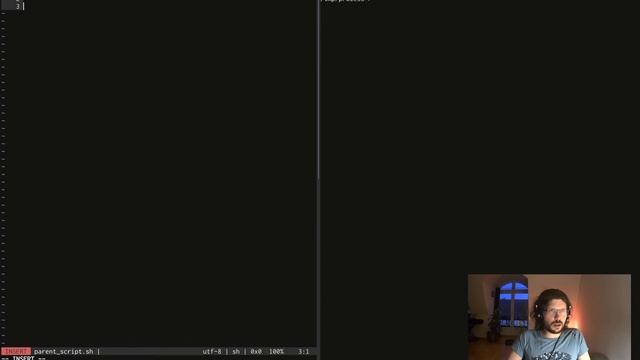 Killing every process started by a Bash script? - featuring trap, ps, pstree, kill, and tr смотреть онлайн