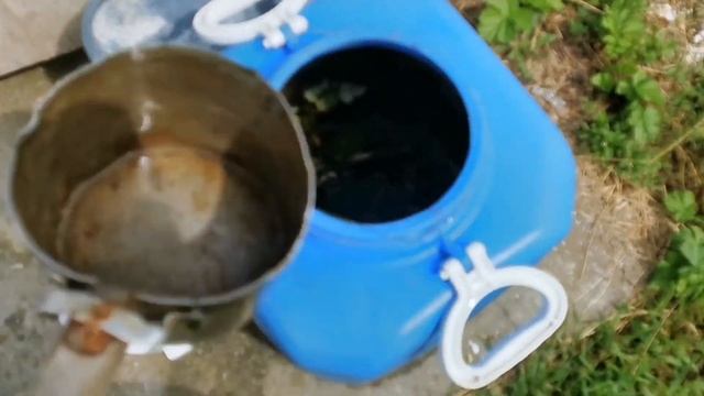 ?☝️Это ЛУЧШАЯ подкормка для РОЗ! Без химии! Сделайте ее легко сами! смотреть онлайн