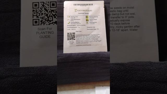 Our Seeds for the Farm Arrived Today. смотреть онлайн