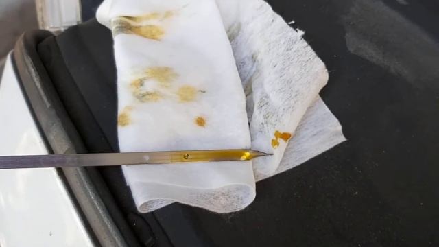 POLYMERIUM XPRO1 0W20 GF5 SN при пробеге 12 700 км.14.08.2020.