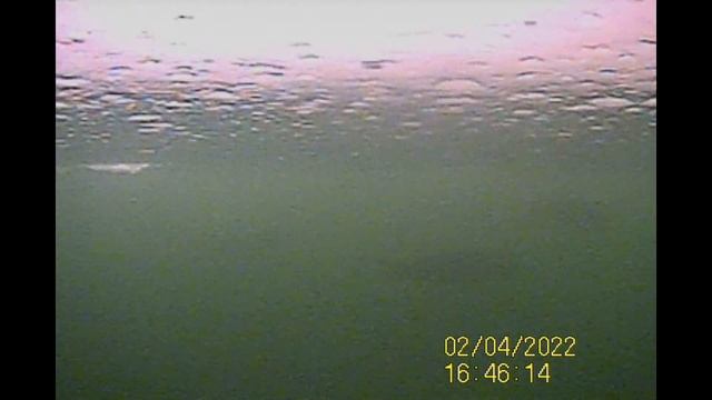 Рыбалка на Столбовой смотреть онлайн