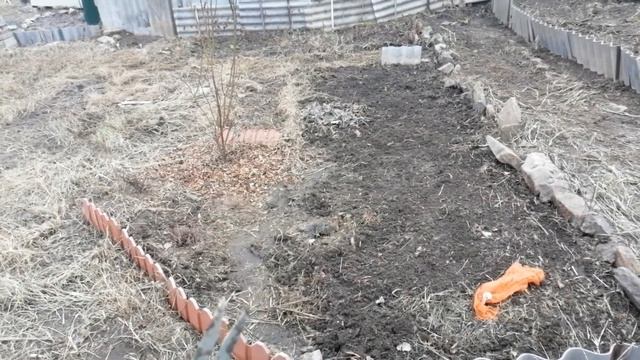 Снегопад 25ого марта, сорнякодерка и розочка ещё одна зацвела. смотреть онлайн