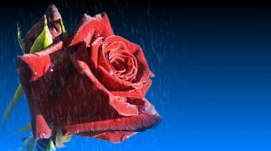 Футаж. Фон для надписи 97