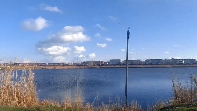 #энем это #жесть много #мусора 24 12 2023 смотреть онлайн