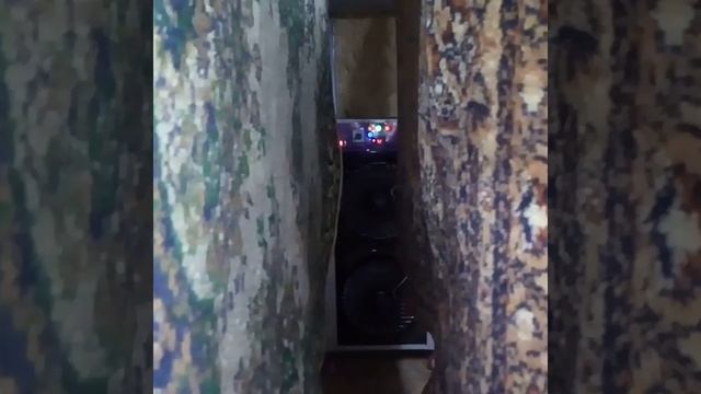 Сушка ковров в любую погоду смотреть онлайн