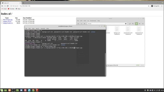 Curl Basics смотреть онлайн