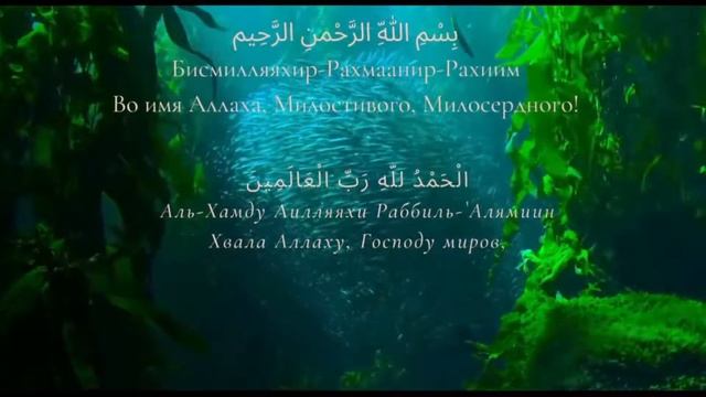 АЛЬ ФАТИХА/ АЛЬ ФАТИХА 33 РАЗ ОТ БОЛИ И ВСЕГО ПЛОХОГО на ночь