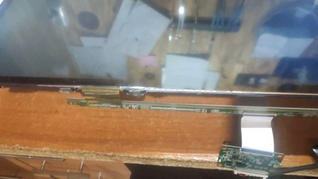 Домашние животные против телевизоров смотреть онлайн