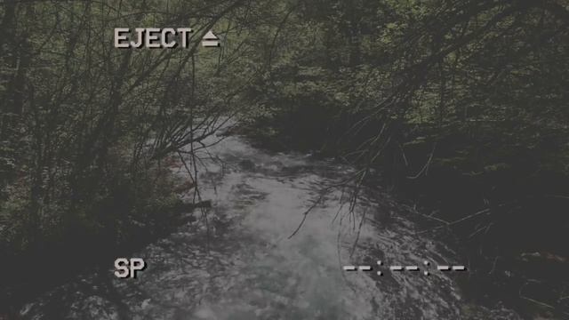 ФАРШИРОВАННЫЙ КРОЛИК | Страшная история на ночь | Мистика | ЧЕРНЫЙ РИК смотреть онлайн