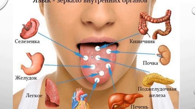 Диагностика состояния здоровья по языку! смотреть онлайн