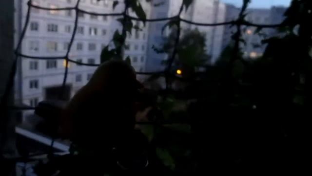 Летний вечер тёплый самый смотреть онлайн