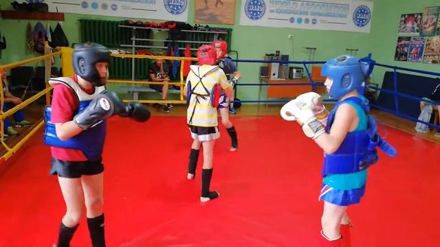 Спарринги Новополоцк 21.08.2019 раунд 1 : Пелипенко, Коляго, Епхиев смотреть онлайн