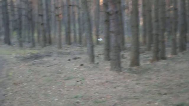 работа по русаку 19 04 2014 смотреть онлайн