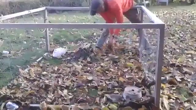 Кролик против листьев смотреть онлайн