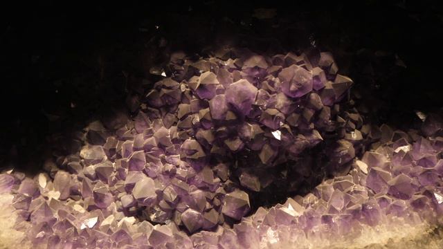 Amherst Alumni in the Field : Kirk Johnson '82 смотреть онлайн