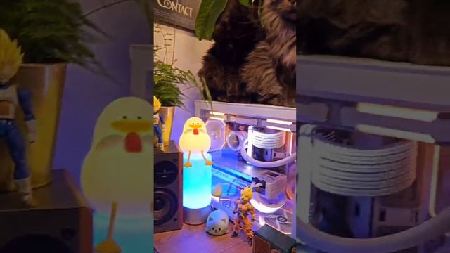 А какой способ согреться выберете вы?) #shorts #gammania смотреть онлайн