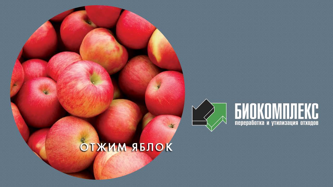 Переработка отходов яблок смотреть онлайн
