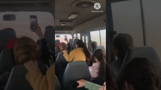 В автобусе с братьями Шахунц! смотреть онлайн