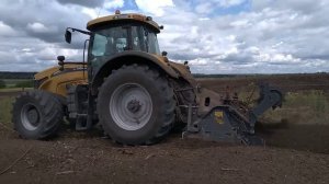 Раскорчевка старого сада