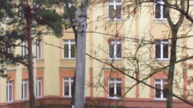 Компактный фотоаппарат с суперзумом - плюсы и минусы смотреть онлайн