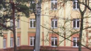 Компактный фотоаппарат с суперзумом - плюсы и минусы