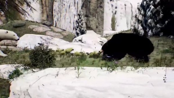 Fight: POLAR BEAR vs GRIZZLY BEAR [ Who would WIN? ]