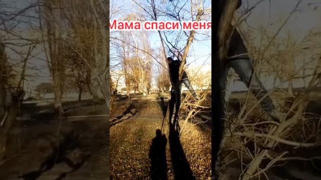 Заставляю друзей делать что я за хочу смотреть онлайн