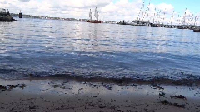 Нерадушный приём нам оказали. Гостей полагается накормить. А мы тут уже полчаса сидим не жрамши. смотреть онлайн