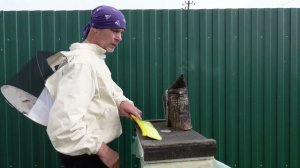 вывод маток в шестирамочных ульях