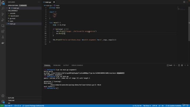4. Golang: Command Arguments With Conditionals смотреть онлайн