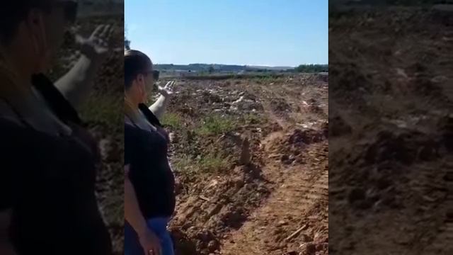 Экологическая катастрофа в Новой Москве смотреть онлайн