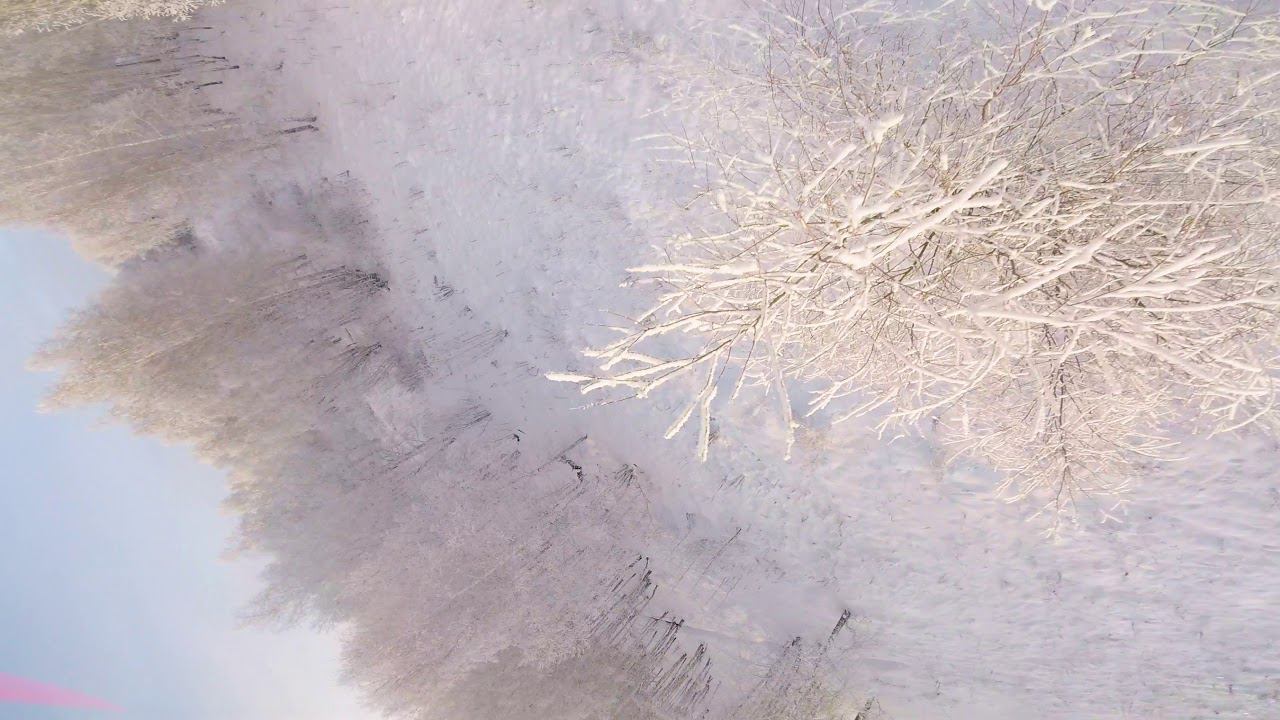 КП Березки смотреть онлайн