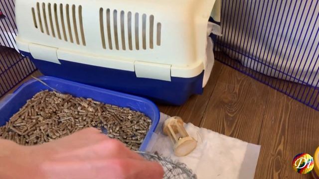 Диана и её кролик вислоухий баран Как нужно ухаживать за кроликом Любимые игры нашего питомца смотреть онлайн