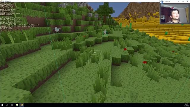 C# + OpenGL, быстрая курочка смотреть онлайн