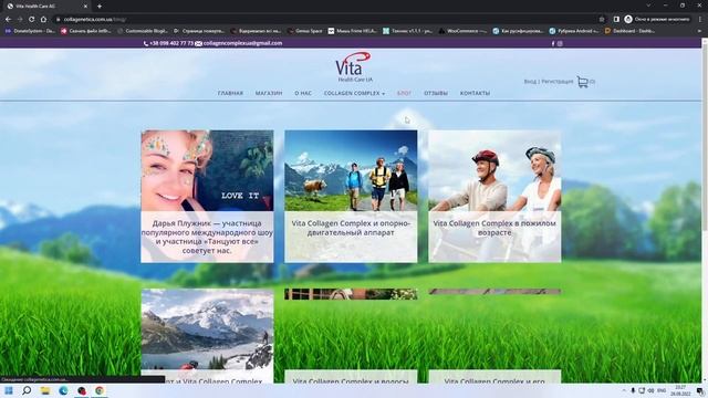 После обновление WP сайт перестал работать!!!?? ФРИЛАНС!) смотреть онлайн