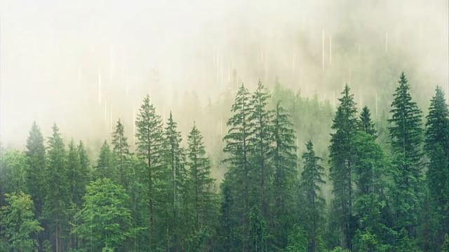 Умиротворяющий фон! Звуки дождя и музыка для йоги, медитации и сна! смотреть онлайн